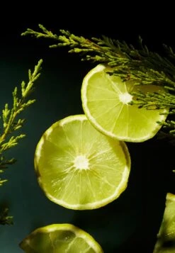 Rituals Homme After Shave Refreshing GelGel Da Rasatura- Uomo Rasatura RIG32G00Z-S11 -Vendite KORRES 16803f0115f9440393f4bf1317487f1a