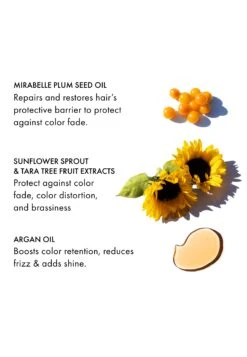 Technician Color ShampooShampoo- Uomo Prodotti Per Capelli F7X34H00P-S11 -Vendite KORRES 1b52ee4757274a809adf21e138d1a662