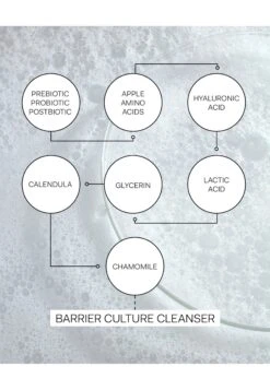 Barrier Culture Probiotic CleanserDetergente- Uomo Cura Del Viso T8T34G003-S11 -Vendite KORRES 221853777464404b9f06f2ff210842cf