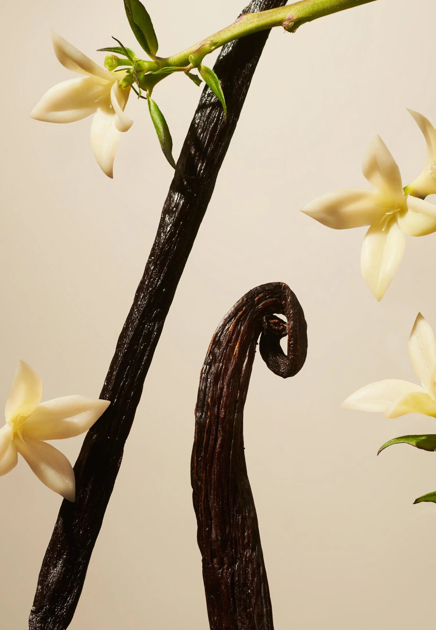 Rituals Suede Vanilla Car Perfume Private CollectionProfumo Per Ambienti- Uomo Fragranze RIG34I02K-S11 8 Rituals Suede Vanilla Car Perfume Private CollectionProfumo Per Ambienti- Uomo Fragranze RIG34I02K-S11 - immagine 6