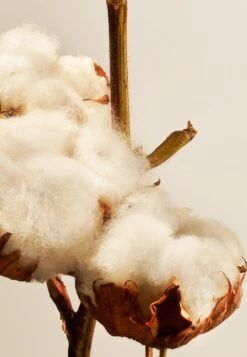 Rituals Cotton Blossom Fragrance Sticks Private CollectionProfumo Per Ambienti- Uomo Fragranze RIG34I029-S11 -Vendite KORRES 7b17d2add27d4cc69e0ce798a7712f61