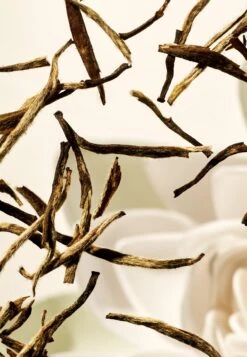 Rituals The Ritual Of Karma ConditionerBalsamo- Uomo Prodotti Per Capelli RIG34H00H-S11 8 Rituals The Ritual Of Karma ConditionerBalsamo- Uomo Prodotti Per Capelli RIG34H00H-S11 -Vendite KORRES c42b513b6d894694a5bc261a52769570