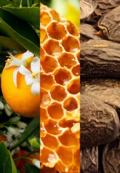 Homme After ShavePost-Rasatura- Uomo Rasatura JOX32G004-S11 -Vendite KORRES cd94a4ac14ba4063b90558eec3a880ab